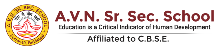 avn logo copy